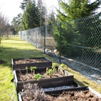 punutud-vorkaed-harjumaal-009