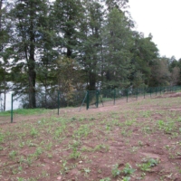 keevisvorkaed-tilsi-lastekodus-006