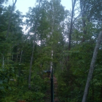 keevisvorkaed-ulenurmes-004